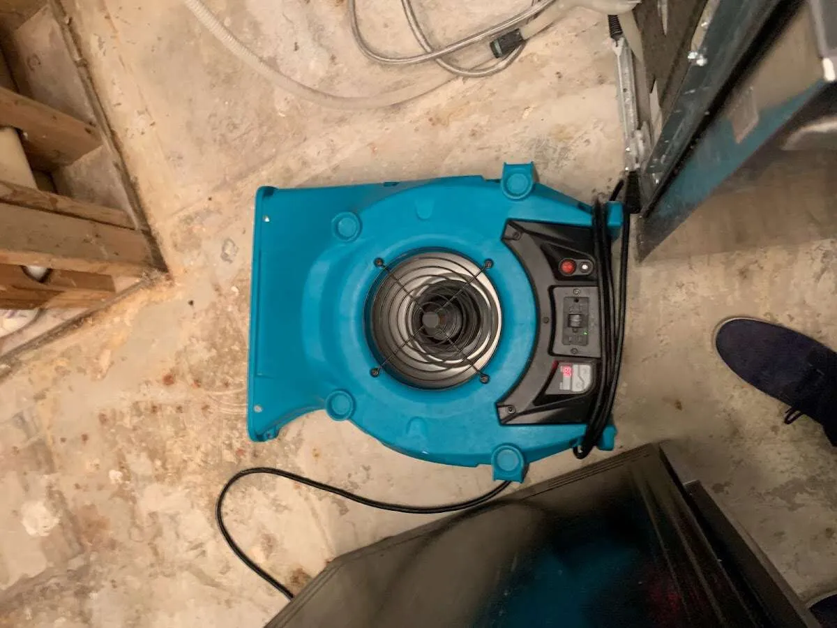 Air mover drying equipment for Mold Remediation & Removal in Wilmington Island