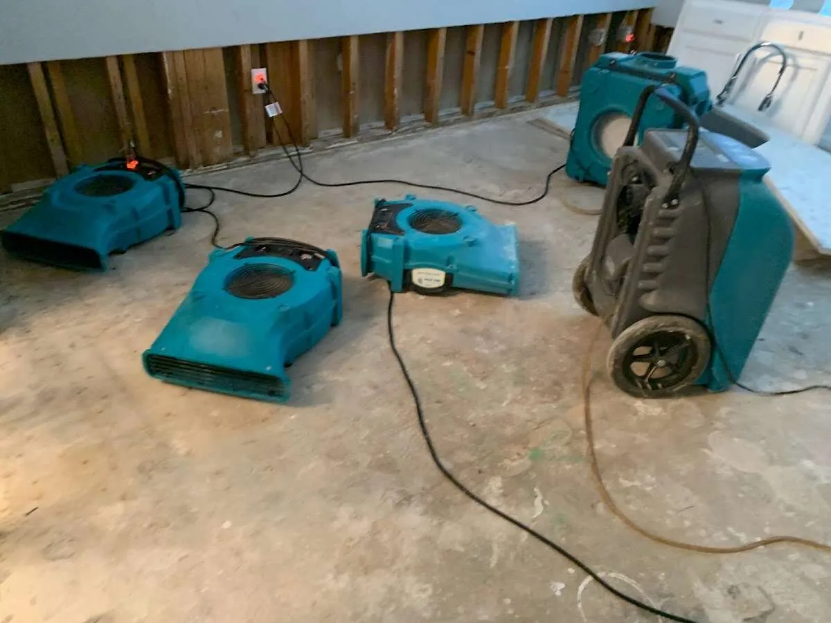 Odor Removal & Deodorization in Wilmington Island, GA