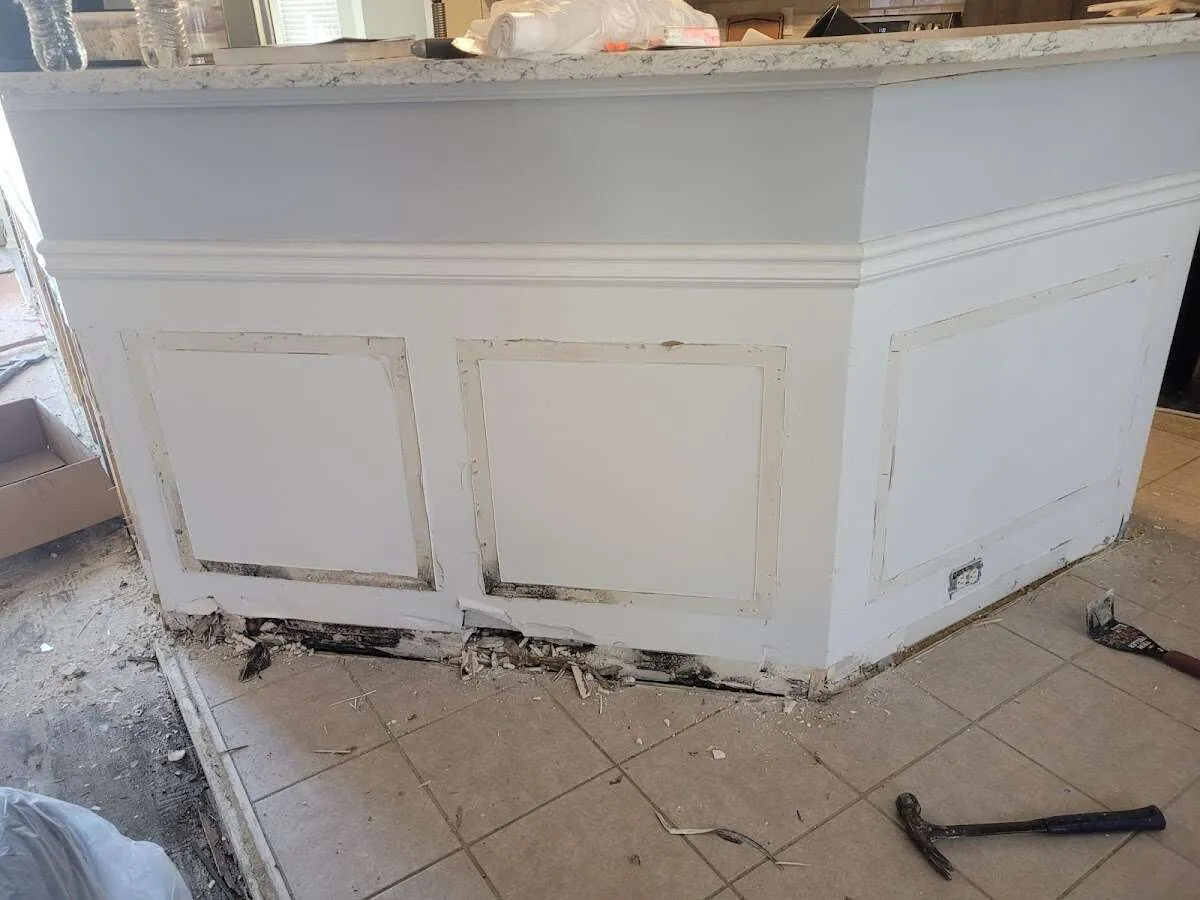 Water damage and mold on kitchen during Sewage Cleanup & Sanitation in Wilmington Island